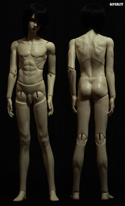 BJD body