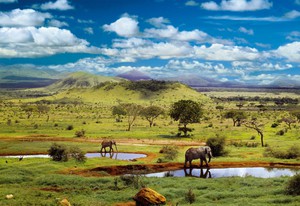 "Национальный парк TSAVO, КЕНИЯ"