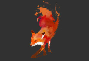 Vulpes Vulpes