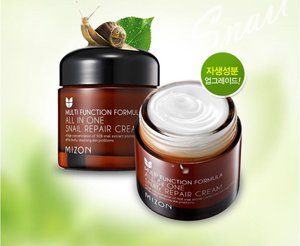 MIZON All In One Snail Repair Healing Cream