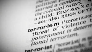 Terrorism and Counterterrorism: Comparing Theory and Practice