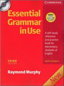 English Grammar in Use.  Raymond Murphy