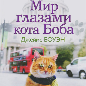 The World According to Bob