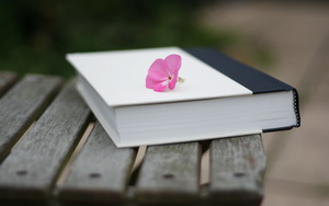 Купить книгу