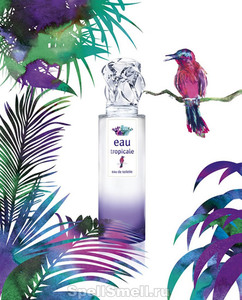 Sisley Eau Tropicale