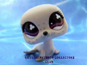 Littlest Pet Shop Gray Seal