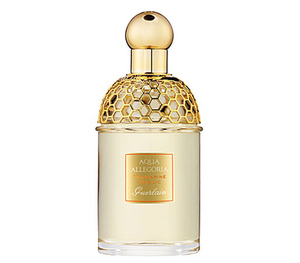 духи Guerlain Aqua Allegoria Pamplelune