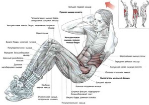 100 пресса каждый день в течение месяца