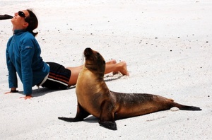 yoga