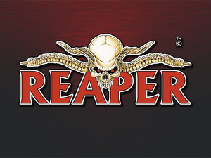 Reaper miniatures (любые)