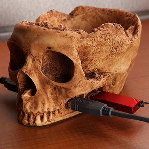 ThinkGeek :: Skullhub USB