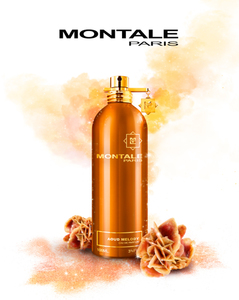 montale - aoud orange