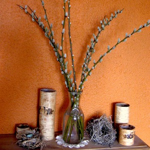 a bunch of long pussy willow branches