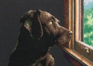 Pondering Pup