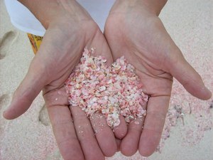 на Розовый пляж Pink Sand Beach на Багамских островах