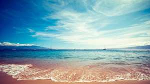 Поехать на море недели на три.