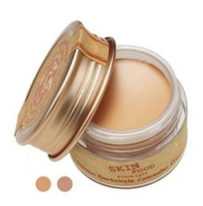 Skinfood salmon Darkcircle Concealer