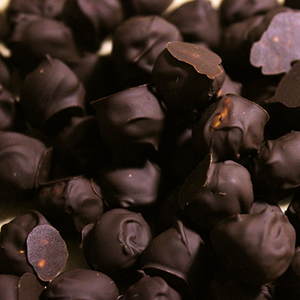 Chocolate coated hazelnuts