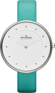 Часы Skagen SKW2134