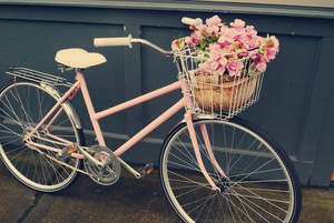 bike with basket