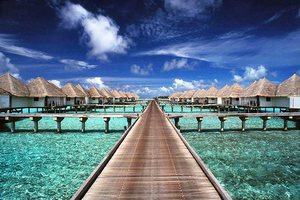 Поехать на Мальдивы