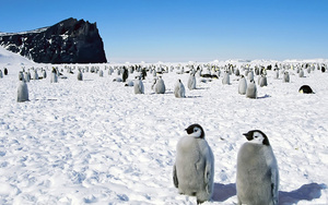 Поездка в Антарктиду
