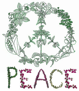 Мир во всем Мире