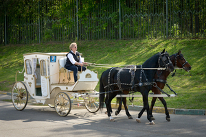 Покататься в конном экипаже