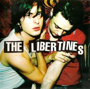 The Libertines Bound Together: The Story of Peter Doherty and Carl Barat and how they changed British Music