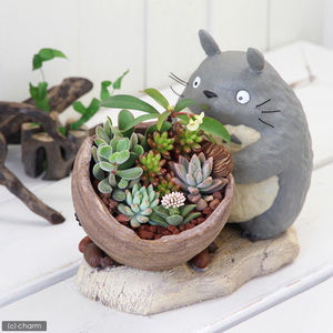 Totoro Gardening Planter