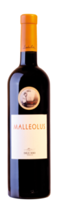 Винцо Malleolus
