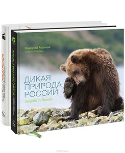 Дикая природа России. Птицы России (комплект из 2 книг)