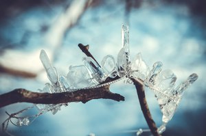 Корона "Winter Child"