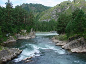 увидеть Алтайские горы