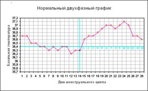 Мерить базальную температуру