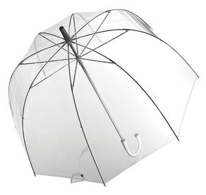 Зонт купол прозрачный.