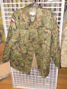 Польская униформа WZ93 pantera