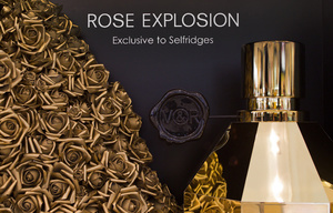 Flowerbomb rose explosion