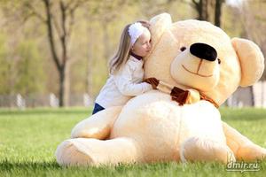 Большого плюшевого Михайла Потапыча)