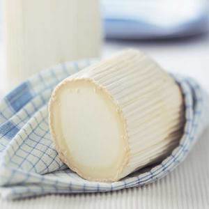 soft-ripened goat cheese