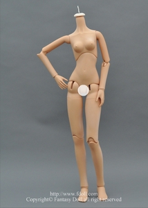 60cm Girl new body