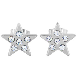 Stainless Steel Cubic Zirconia Star Stud Earrings