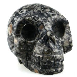 Carved Fossil Stromatolite Skull