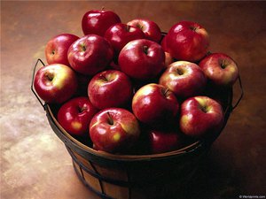 Осенняя или зимняя фотосессия в мегатоннах яблок:)