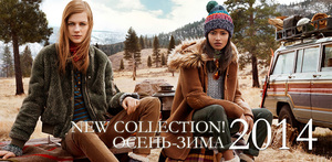 Сертификат в Jeans symphony или scotch and soda