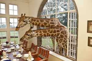 Остановиться в отеле Giraffe Manor