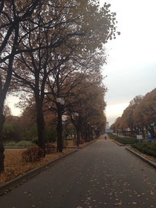 переехать в москву