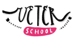 Мастер-класс в Veter School на любую тему