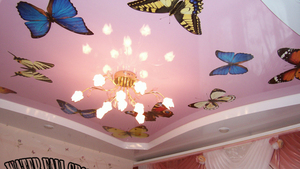 Обои с бабочками