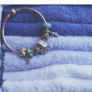 THE PANDORA MOMENTS CHARM BANGLE